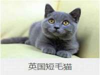 安庆中科汽车租赁有限公司